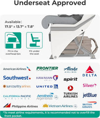 BAGSMART 16 inch Small Underseat Carry on Luggage, Suitcase with Wheels